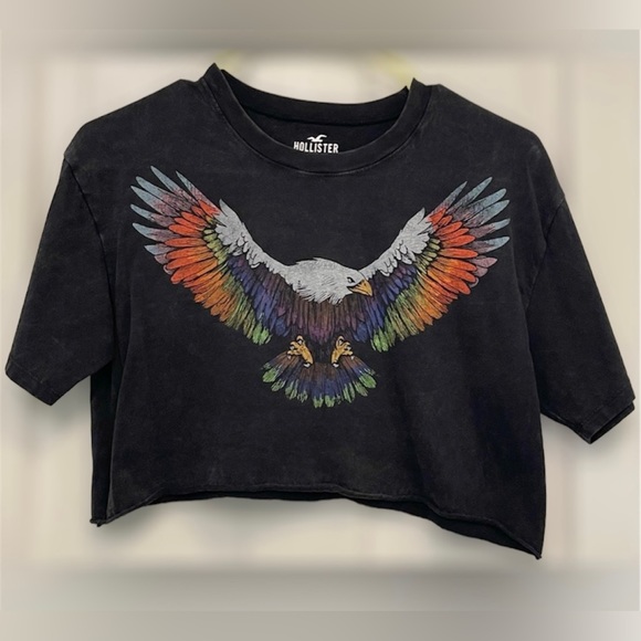 Hollister Other - 🌈Hollister Unisex Pride Crop-top. Size xxs.